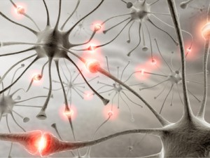 mens health neurons